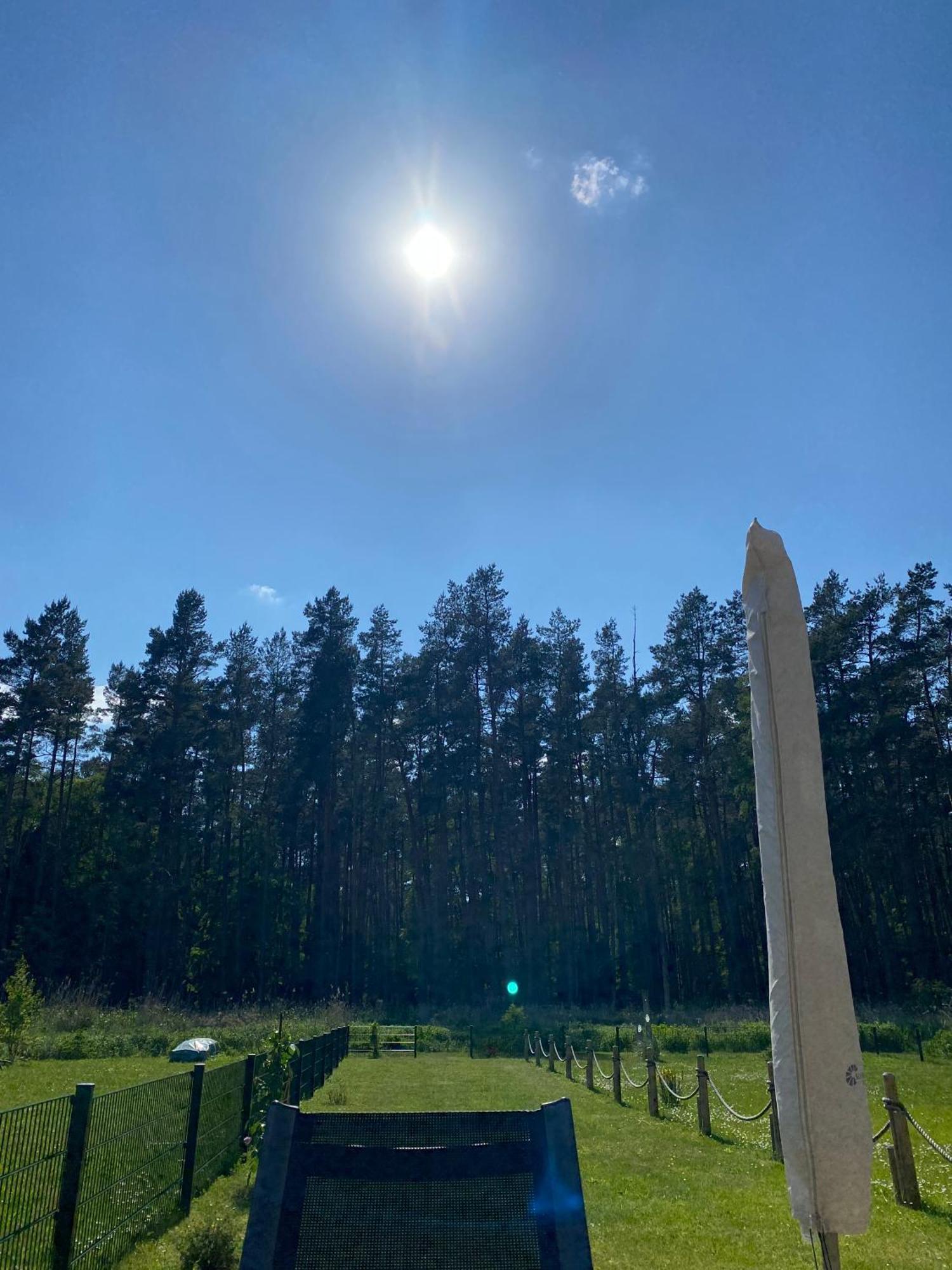 Lieblingsplatz Im Kuestenwald Graal-Mueritz Gelbensande Εξωτερικό φωτογραφία